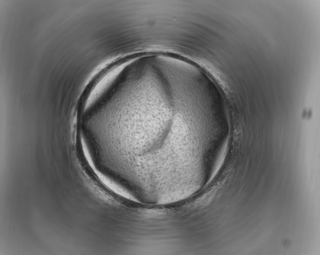 X0000096191126200802011401