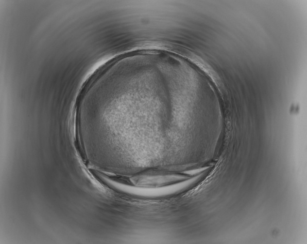 X0000096191127200802011401