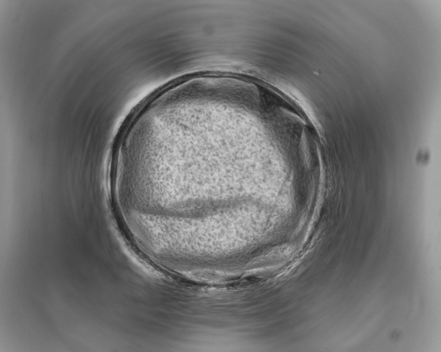 X0000096191128200802011401