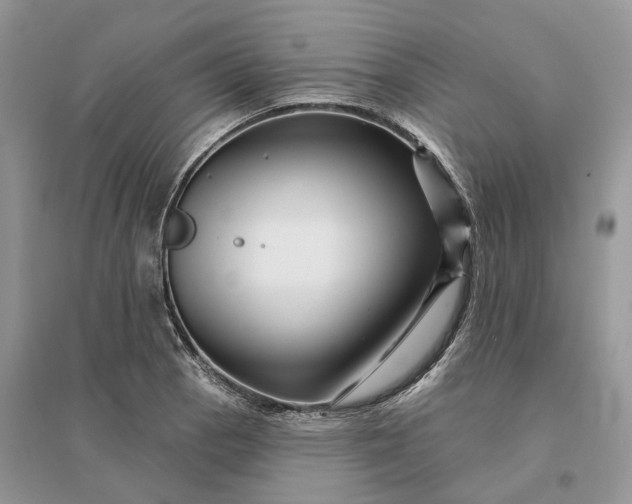 X0000096191129200802011401