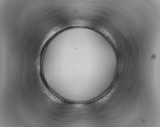 X0000096191130200802011401