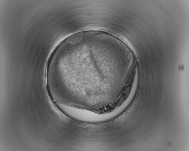 X0000096191132200802011401