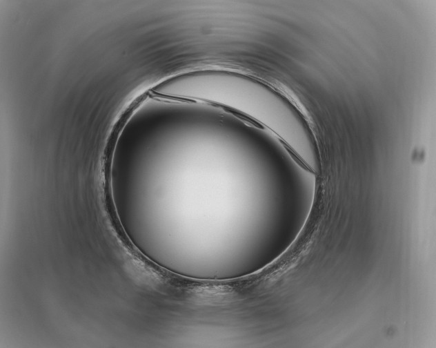 X0000096191133200802011401