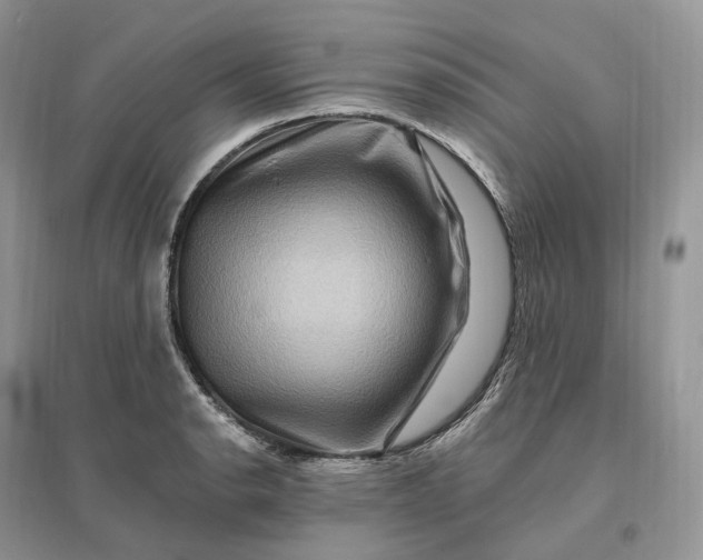 X0000096191134200802011401