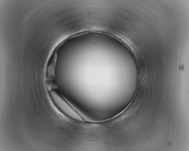 X0000096191135200802011401