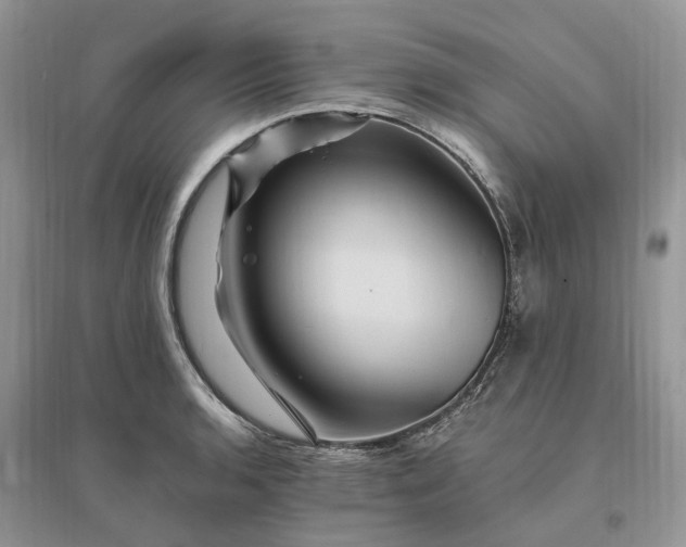 X0000096191136200802011401