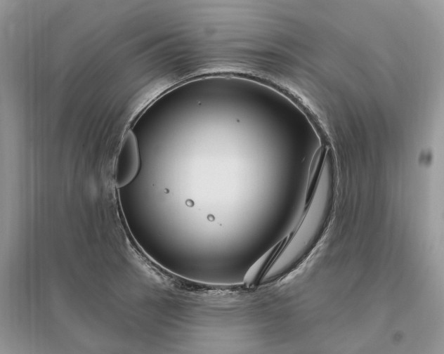 X0000096191137200802011401