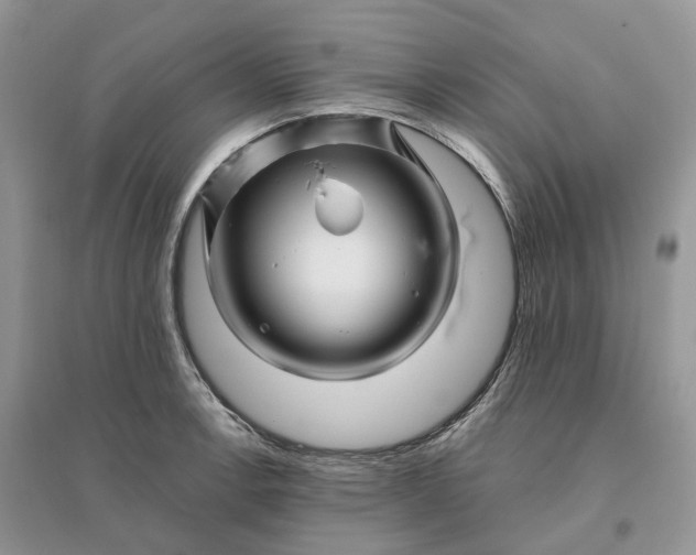 X0000096191138200802011401