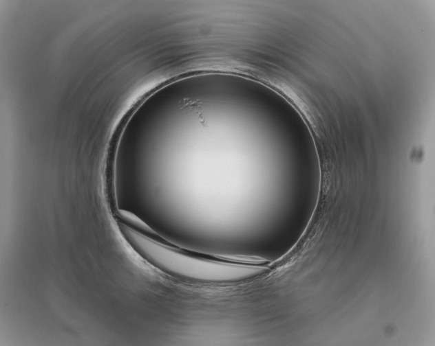 X0000096191139200802011401