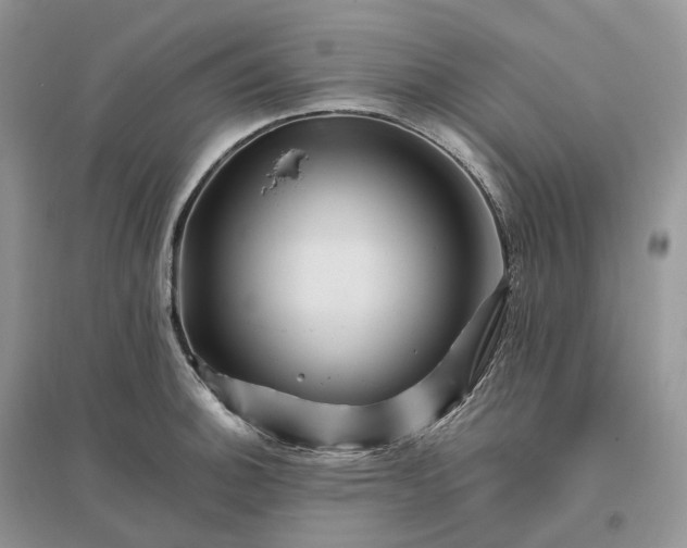 X0000096191140200802011401