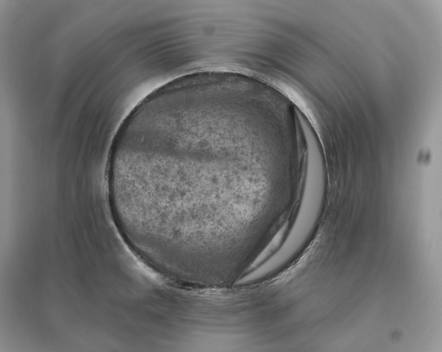 X0000096191141200802011401