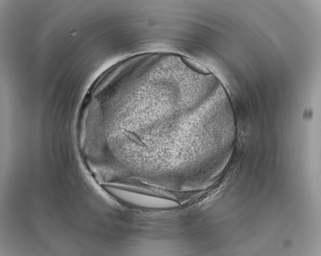 X0000096191142200802011401