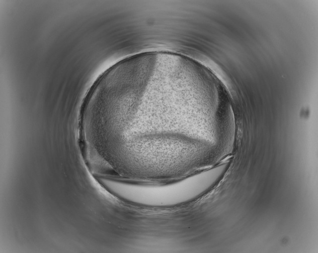 X0000096191143200802011401