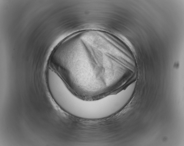 X0000096191144200802011401