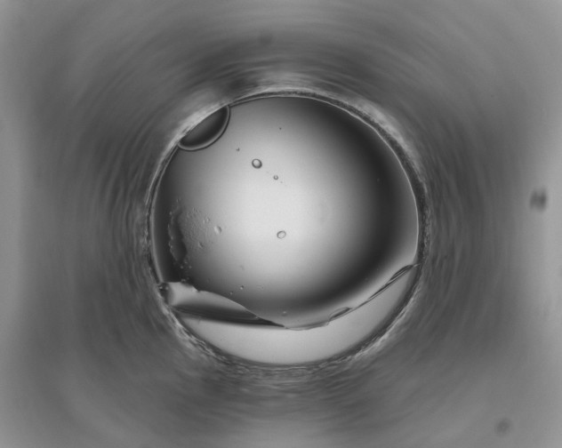 X0000096191145200802011401