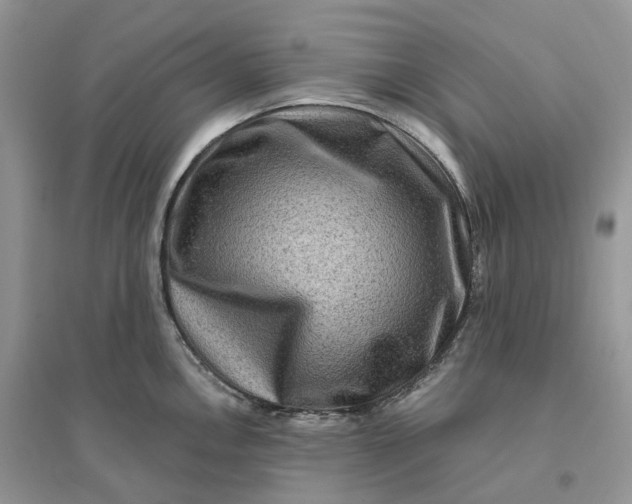 X0000096191146200802011401