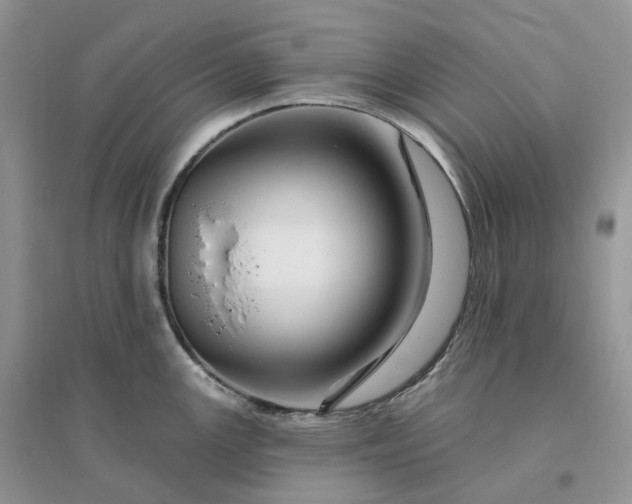 X0000096191147200802011401