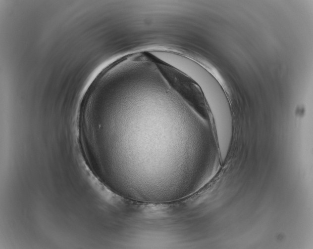 X0000096191148200802011401