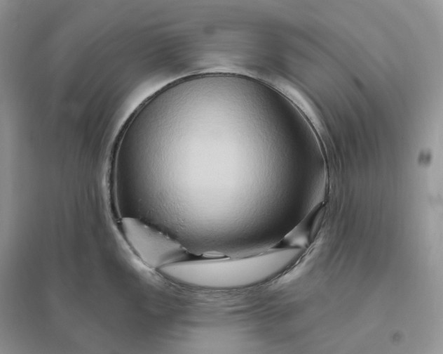 X0000096191149200802011401