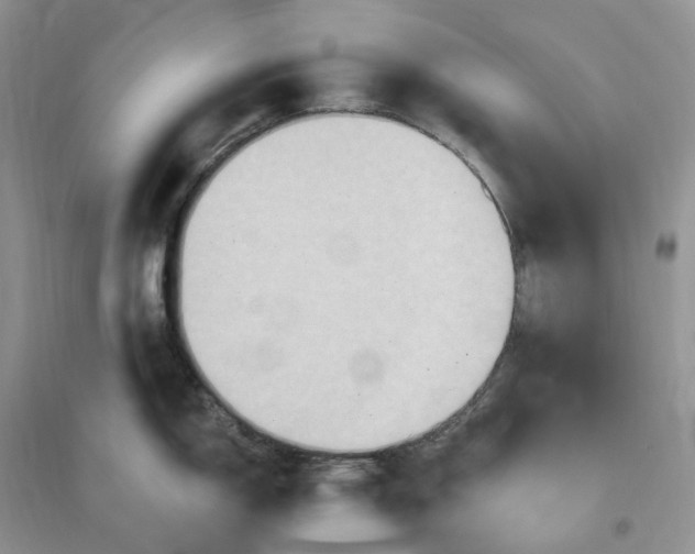 X0000096191150200802011401