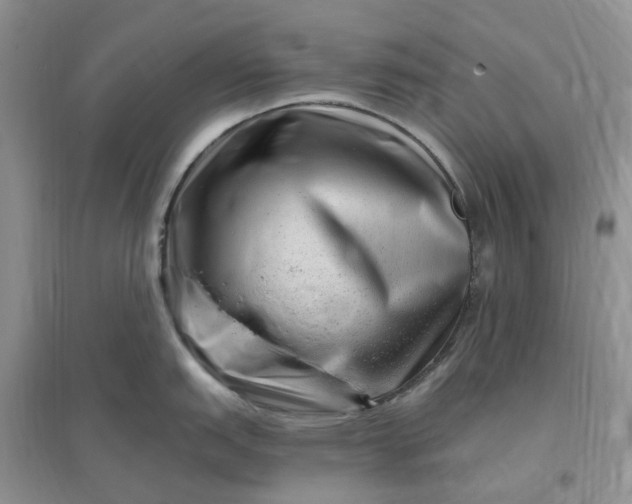 X0000096191151200802011401