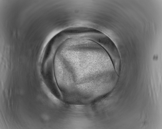 X0000096191152200802011401