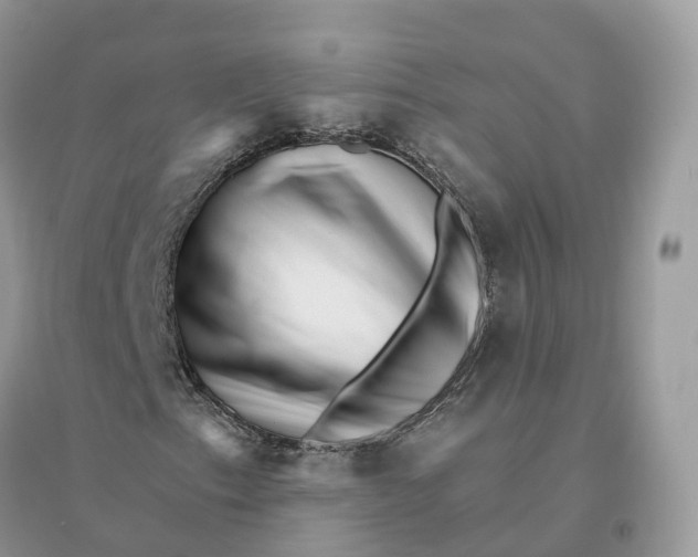 X0000096191153200802011400