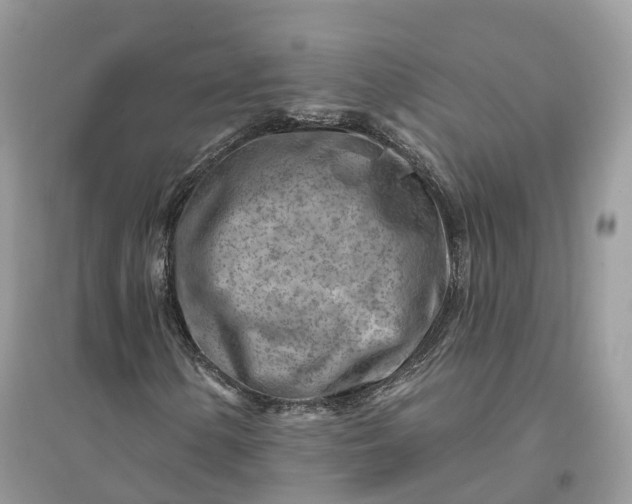 X0000096191154200802011400