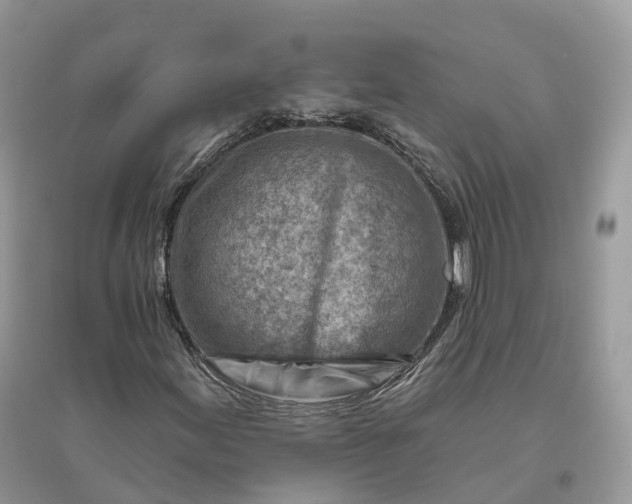 X0000096191155200802011400