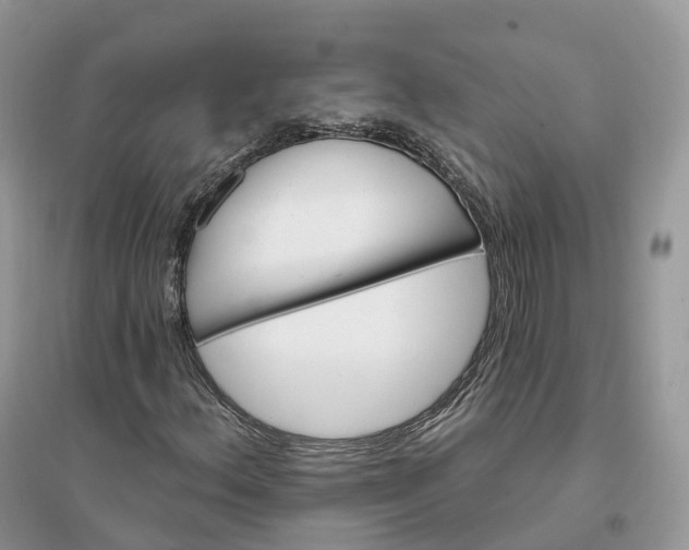 X0000096191156200802011400