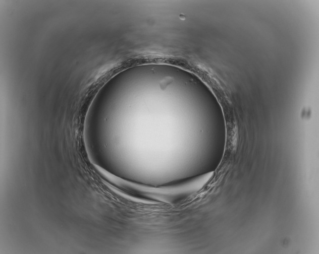 X0000096191157200802011400