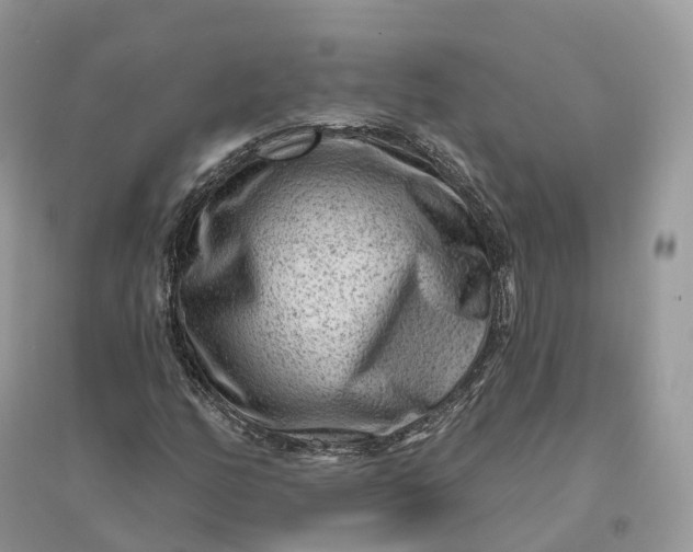 X0000096191158200802011400