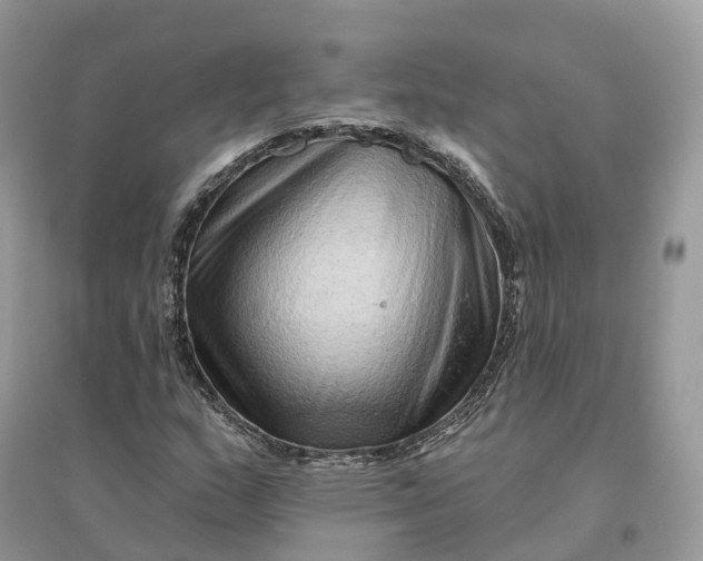 X0000096191159200802011400