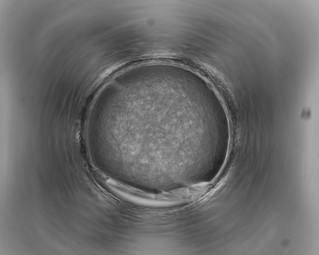 X0000096191161200802011400