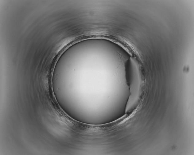 X0000096191162200802011400