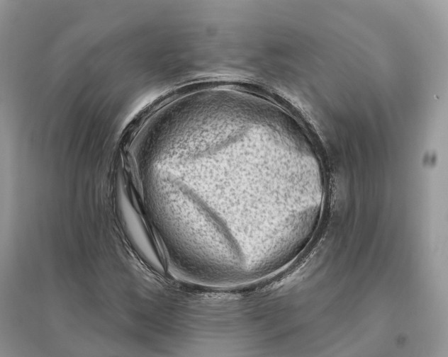 X0000096191163200802011400