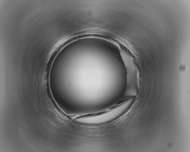 X0000096191164200802011400