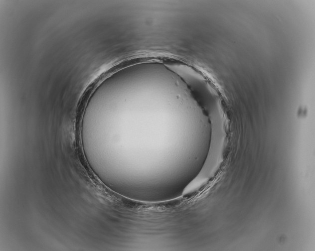 X0000096191165200802011400