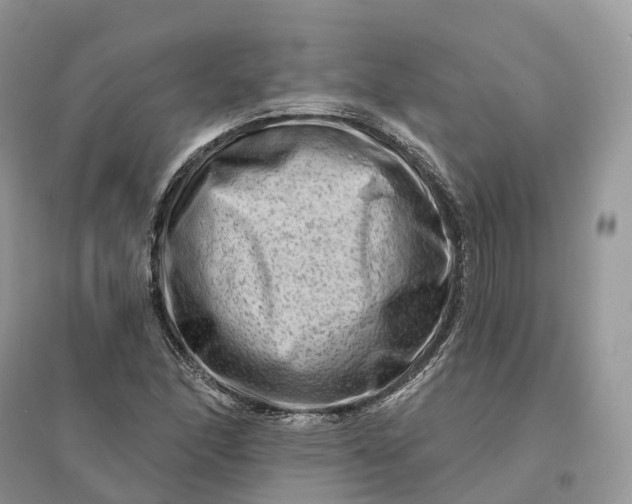 X0000096191166200802011400