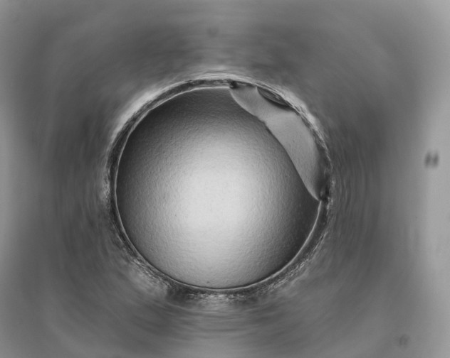 X0000096191167200802011400