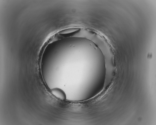 X0000096191168200802011400