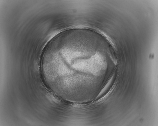 X0000096191170200802011400