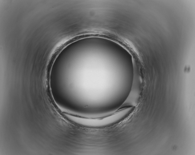 X0000096191172200802011400