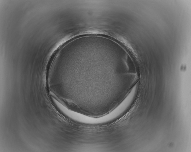 X0000096191173200802011400