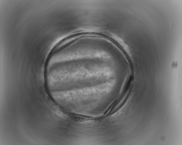 X0000096191174200802011400