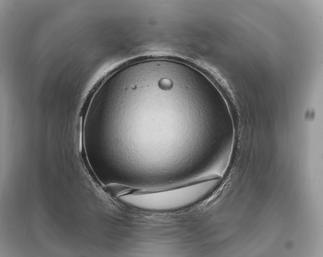 X0000096191175200802011400