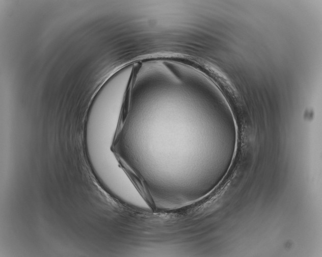 X0000096191177200802011400