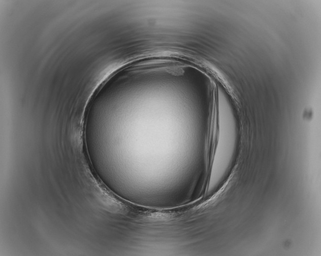 X0000096191178200802011400