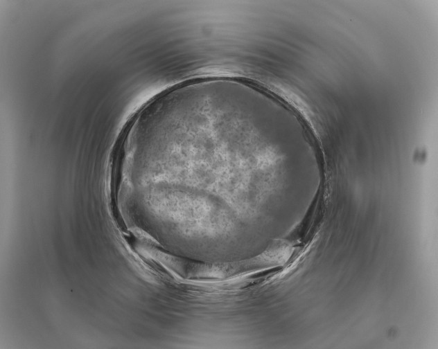 X0000096191179200802011400