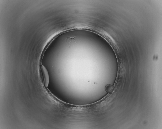 X0000096191182200802011400